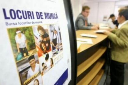 Oficial Locuri de munca disponibile