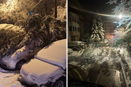 Piteshti Masini avariate de caderi de copaci