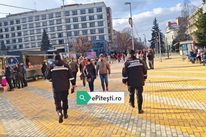 Politistii locali din Pitesti au intervenit in toate cazurile