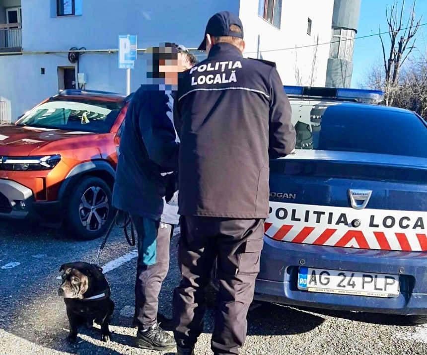 Razie in parcurile din Pitesti Proprietarii de caini