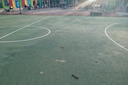 Un teren de sport recent inaugurat toaleta pentru caini in