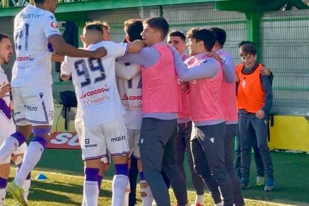 victorie stralucita pentru fc arges 1 0 cu farul si playoff ul este asigurat