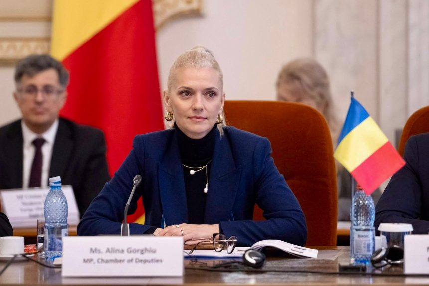 Alina Gorghiu Romania si Marea Britanie trebuie sa colaboreze impreuna