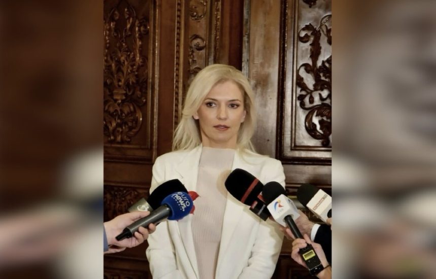 Alina Gorghiu anunta O lege esentiala va fi supusa votului final