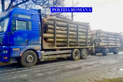 Arges Transport de lemn ilegal