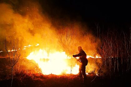 Piteshti Primaria semnaleaza o situatie alarmanta Amenzi