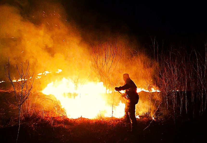 Piteshti Primaria semnaleaza o situatie alarmanta Amenzi