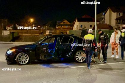 Piteshtiul a fost blocat Mascati caini si filtre de control