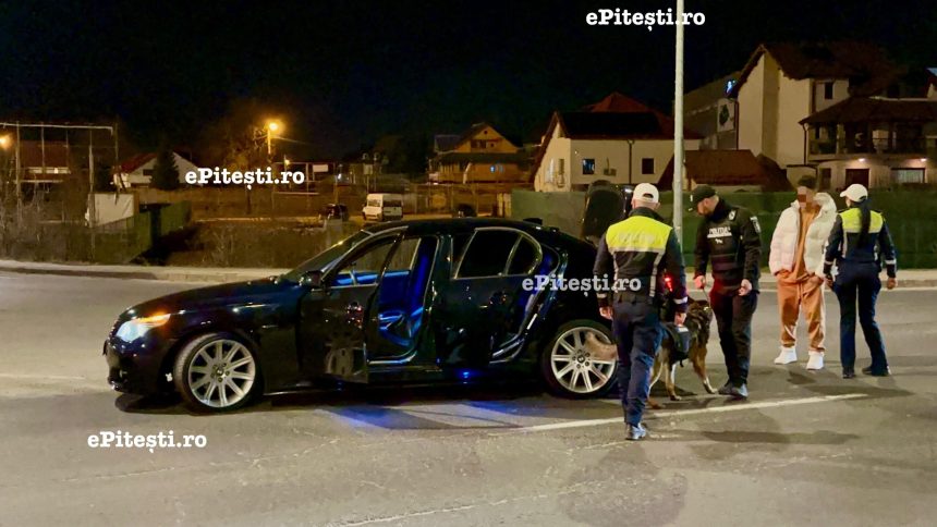 Piteshtiul a fost blocat Mascati caini si filtre de control