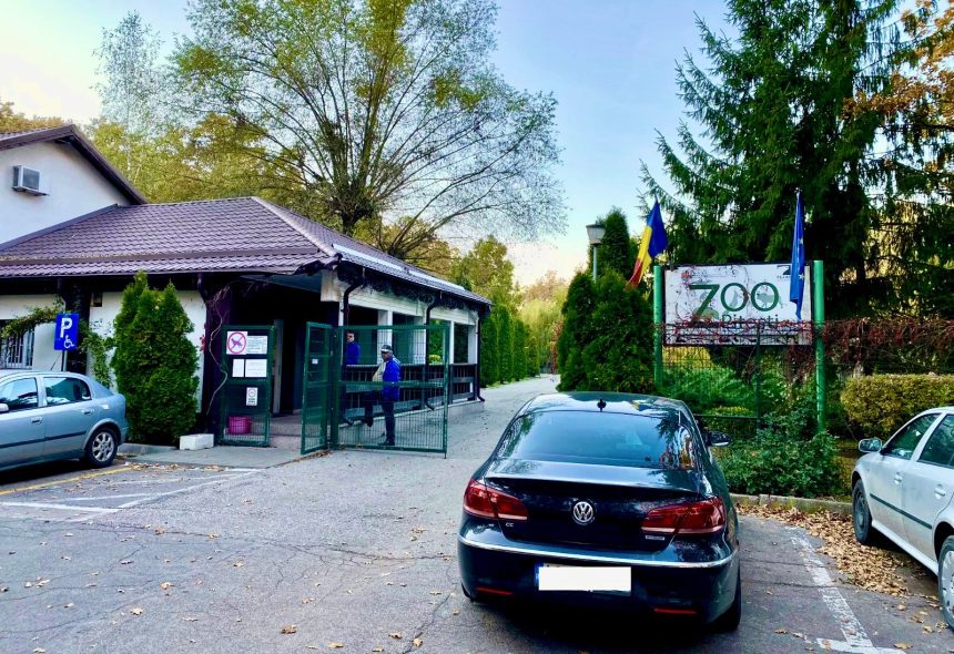 Pitesti Modificari la Zoo Toi vizitatorii sunt vizati