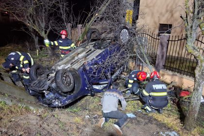 arges noapte tumultoasa accidente copac doborat ursi in doua locatii