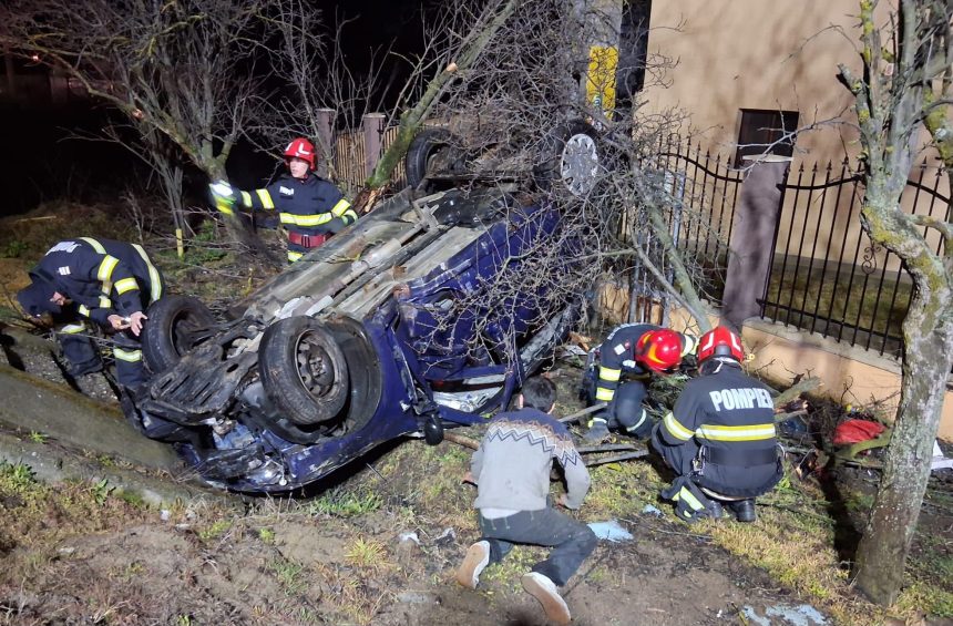 arges noapte tumultoasa accidente copac doborat ursi in doua locatii