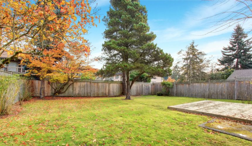 Amenda uriaza pentru o activitate obisnuita desfasurata in propria curte