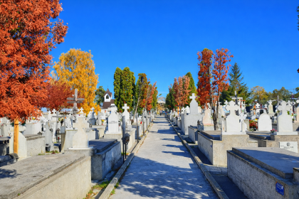 Anuntul zilei Ce se ntampla cu ajutorul de