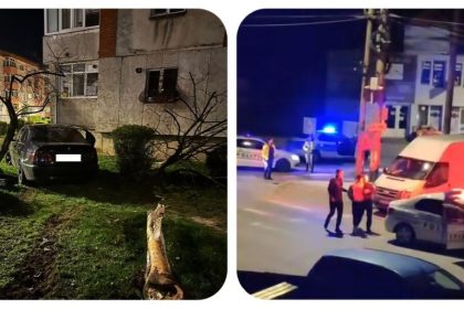 Arges A evadat de la politie si a doborat un copac cu BMW ul