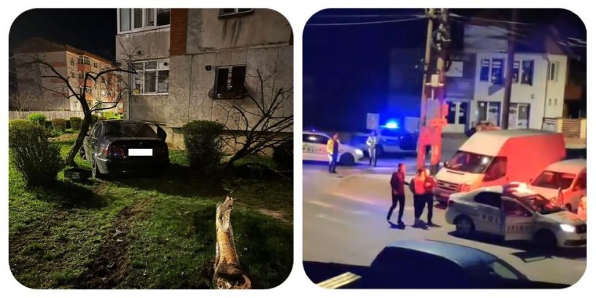Arges A evadat de la politie si a doborat un copac cu BMW ul