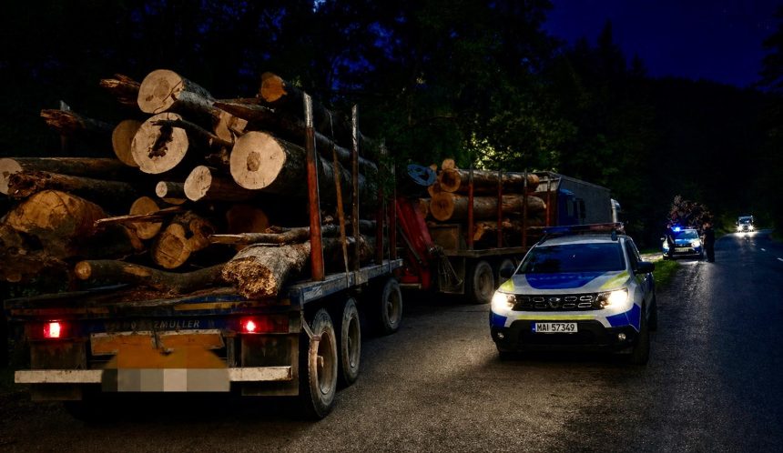 Arges Transport de lemne cu surprize Ce au gasit autoritatile