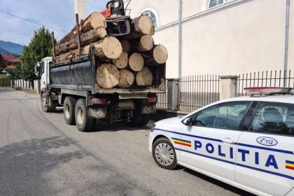 Arges Transport de lemne suspect Soferii sanctionati de