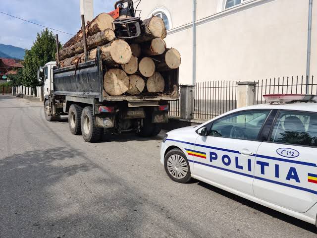 Arges Transport de lemne suspect Soferii sanctionati de
