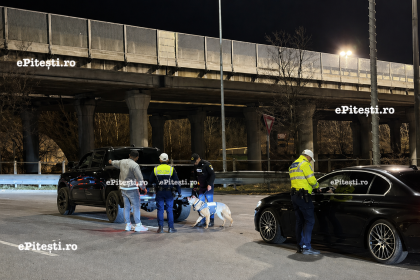 Controale severe ale Politiei in Pitesti