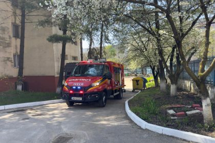 Pitesti Panica in Gavana