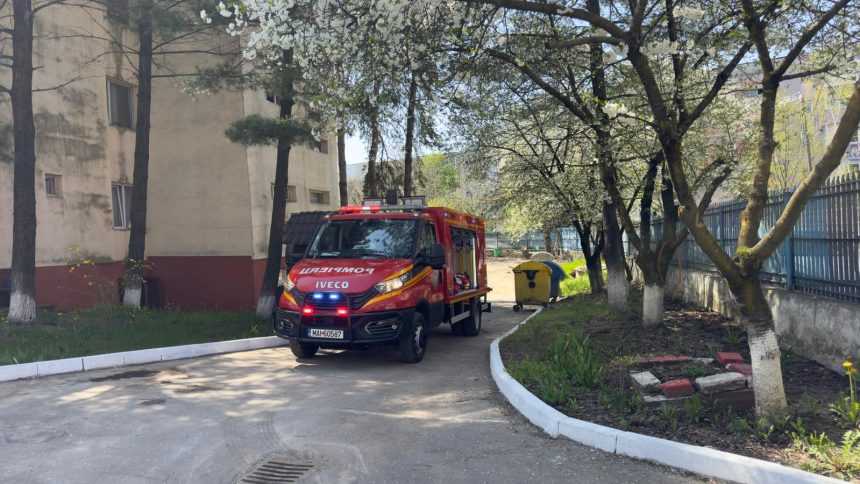 Pitesti Panica in Gavana