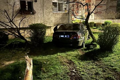 Politia Arges Tanar de 21 de ani baut si fara permis