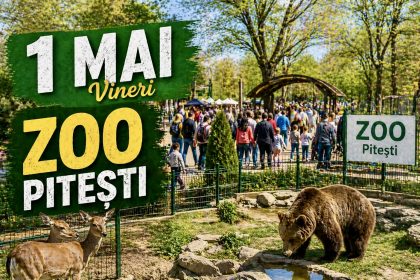Toti merg la Zoo Pitesti de 1 Mai Anunt important