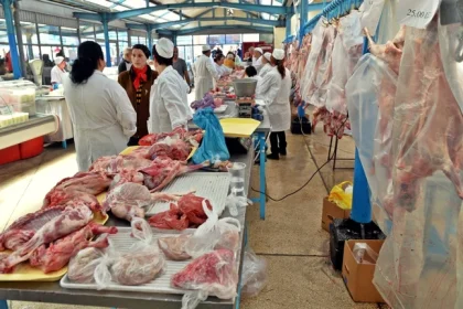 atentie maxima inainte de paste carnea de miel o adevarata delicatesa