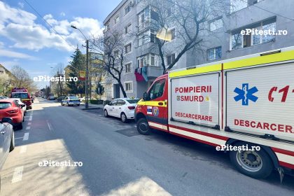 descoperire infioratoare in pitesti