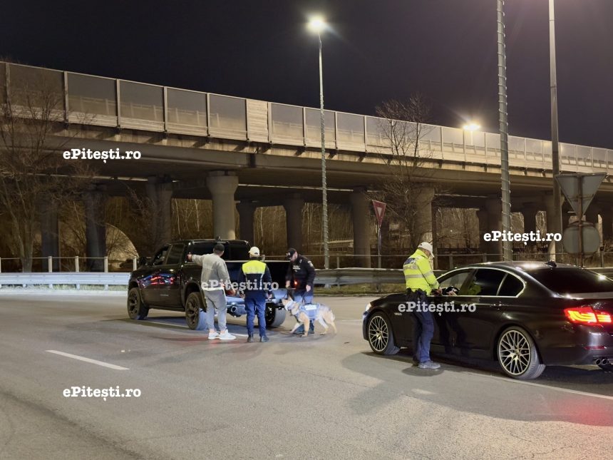 Arges Soferii au fost prinsi in numar mare Aciune ampla a