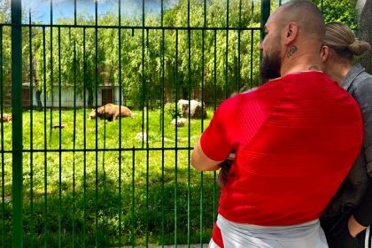 Gradina Zoologica a fost asaltata de catre detinutii de la