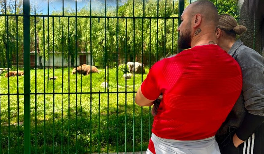 Gradina Zoologica a fost asaltata de catre detinutii de la