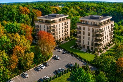 Padurea Trivale in centrul unui nou proiect imobiliar Cine este implicat