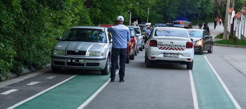 Politia i a prins pe Trivale in Pitesti