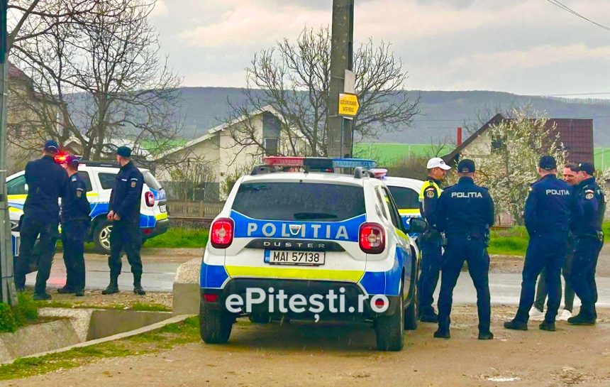 Razii de mari proportii in Arges Amenzi in numar mare
