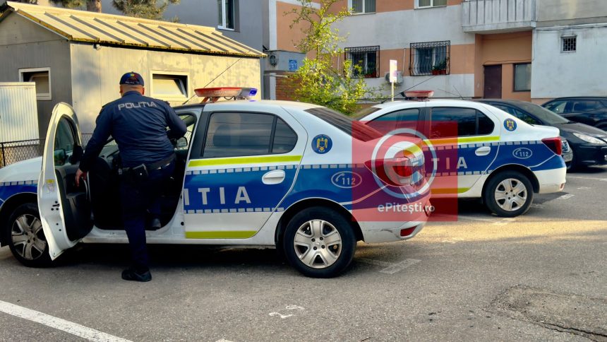 Tanara de 19 ani disparuta