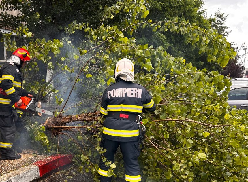 Vremea a provocat distrugeri in Arges