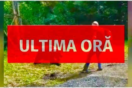 exclusiv un alt incident grav cu un urs in arges