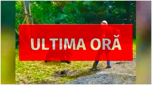 exclusiv un alt incident grav cu un urs in arges