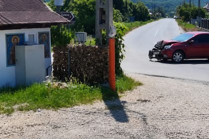 Arges A distrus Loganul si a fugit de la locul accidentului