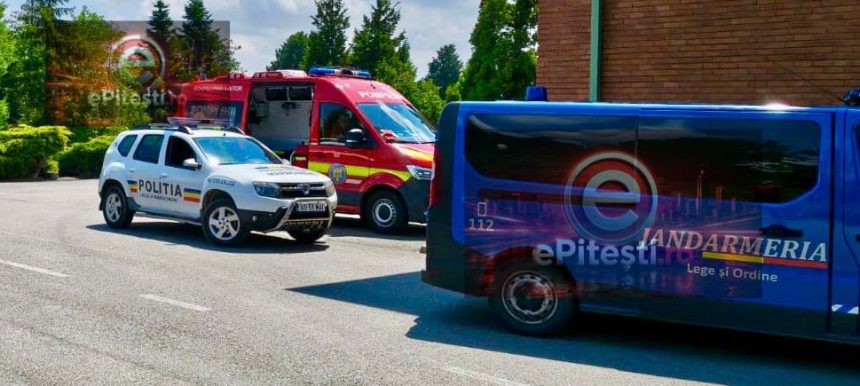 Arges A fost emis RO Alert Urs observat in apropierea unei institutii