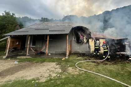 Arges Catastrofa intr o gospodarie