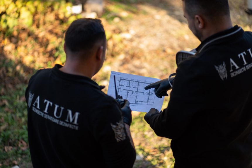 De ce companiile mari opteaza pentru ATUM