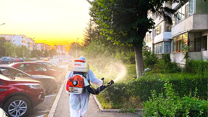 Incep stropirile Ce trebuie sa afle toti pitesteni
