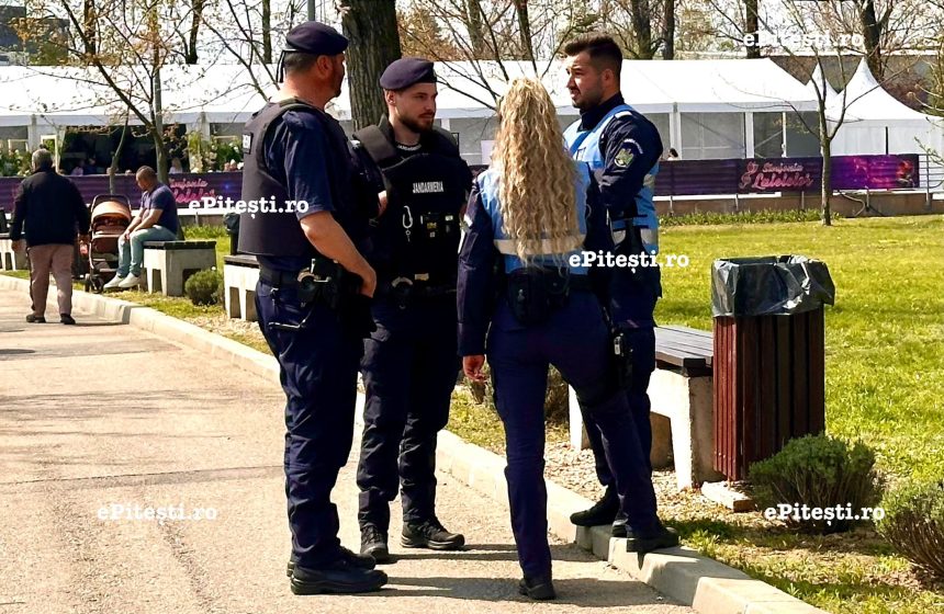 Jandarmeria Arges in stare de alerta maxima