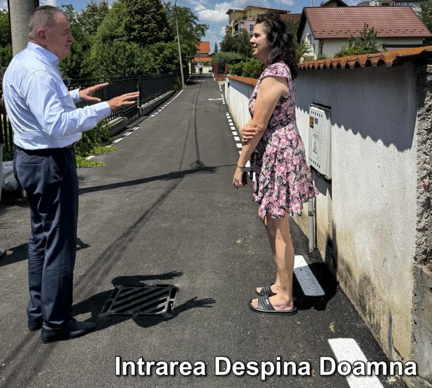 Pitesti Strada Despina Doamna si Aleea Petre Lazarescu