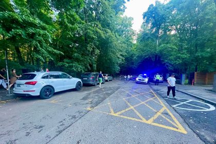 Politica Locala Pitesti intervine din nou in Parcul Trivale