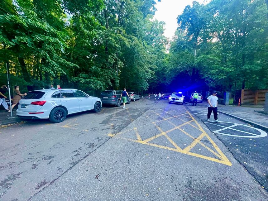 Politica Locala Pitesti intervine din nou in Parcul Trivale