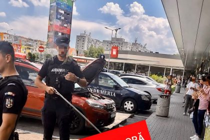 Sarpe prins in parcarea unui centru comercial
